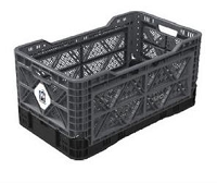 Big Ant Collapsible Container IP543630G