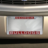 GEORGIA CHROME FRAME